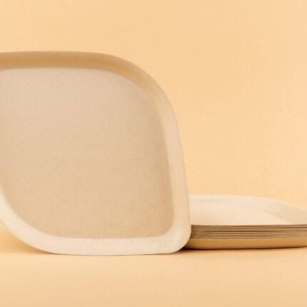 Pickytarian Natural Dinner Plates Stacked on Beige Background