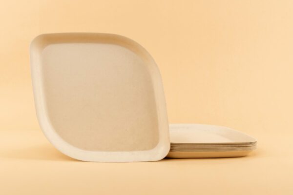 Pickytarian Natural Dinner Plates Stacked on Beige Background