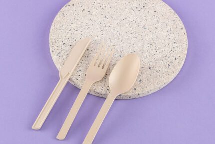 disposable cutlery; compostable plates and cutlery; disposable party supplies