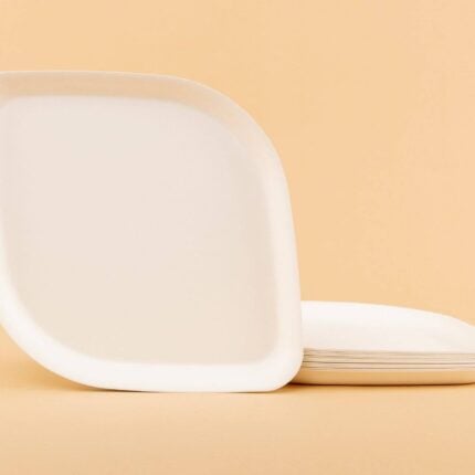 Pickytarian White Dinner Plates Stacked on Beige Background