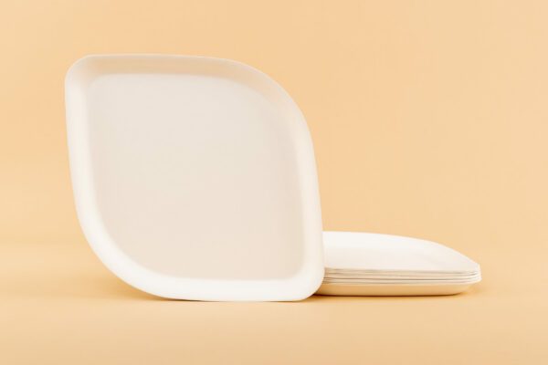 Pickytarian White Dinner Plates Stacked on Beige Background