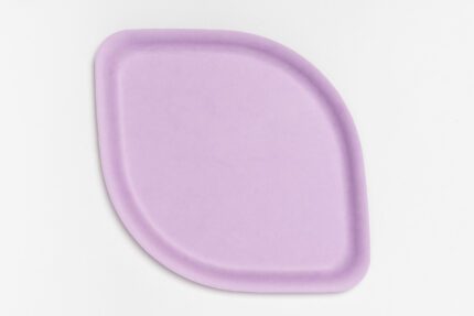 Purple Appetizer Plate