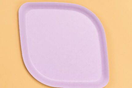 Pickytarian Purple Dinner Plate