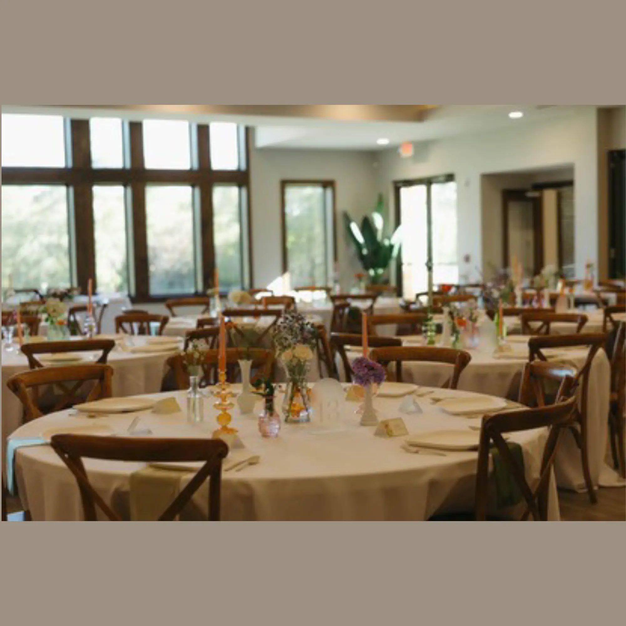 best compostable plates for weddings, parties - Pickytarian